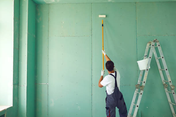 Best Basement Mold Removal  in Fairland, MD