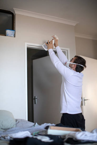 Best Mold Damage Restoration  in Fairland, MD